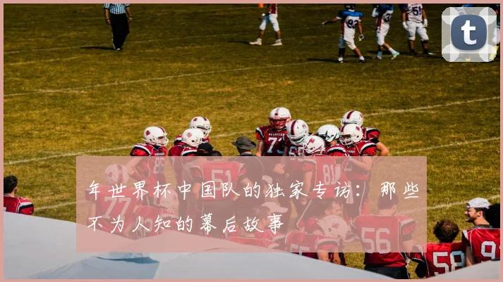年世界杯中国队的独家专访：那些不为人知的幕后故事