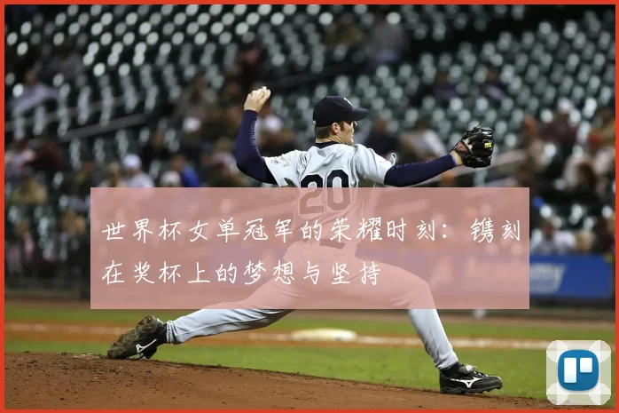 世界杯女单冠军的荣耀时刻：镌刻在奖杯上的梦想与坚持