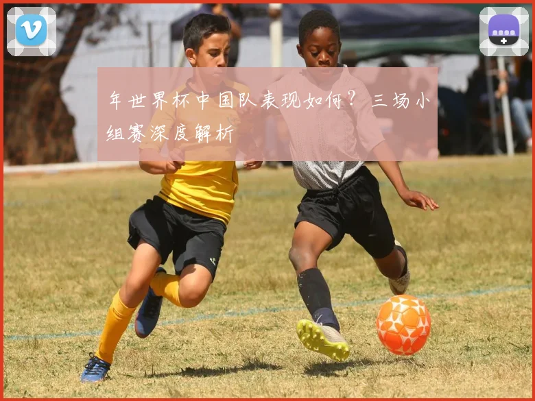 年世界杯中国队表现如何？三场小组赛深度解析