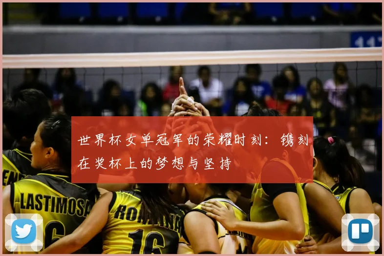 世界杯女单冠军的荣耀时刻：镌刻在奖杯上的梦想与坚持